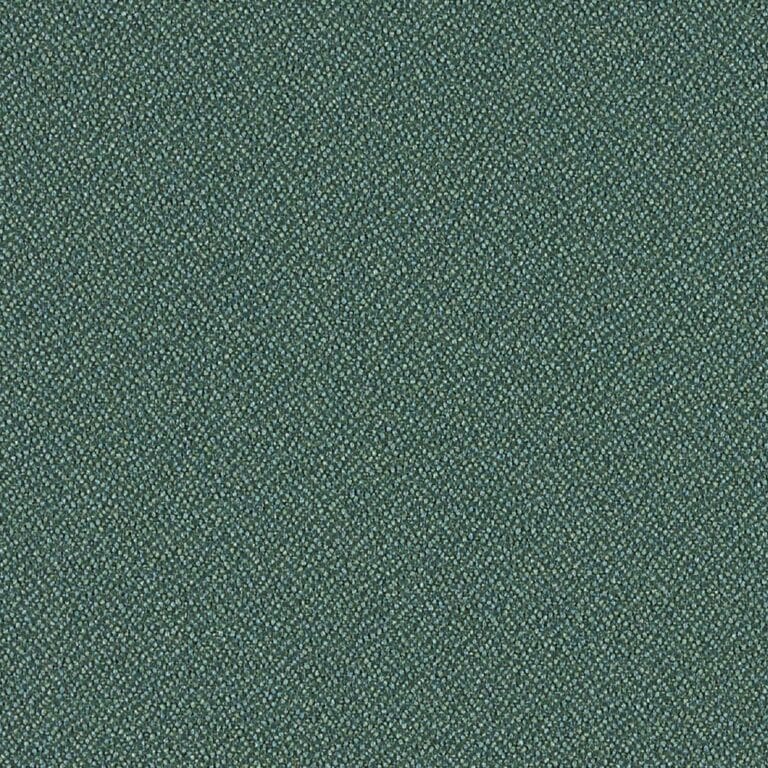 FN043 Peacock