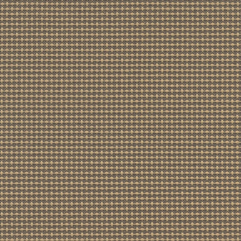 1005 Regalia