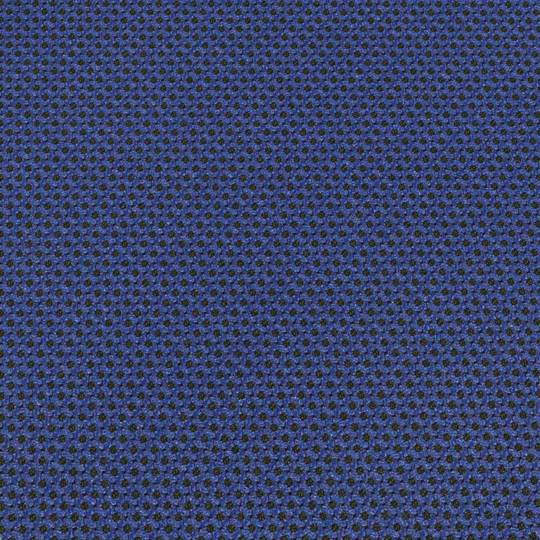 OD3664 Primary