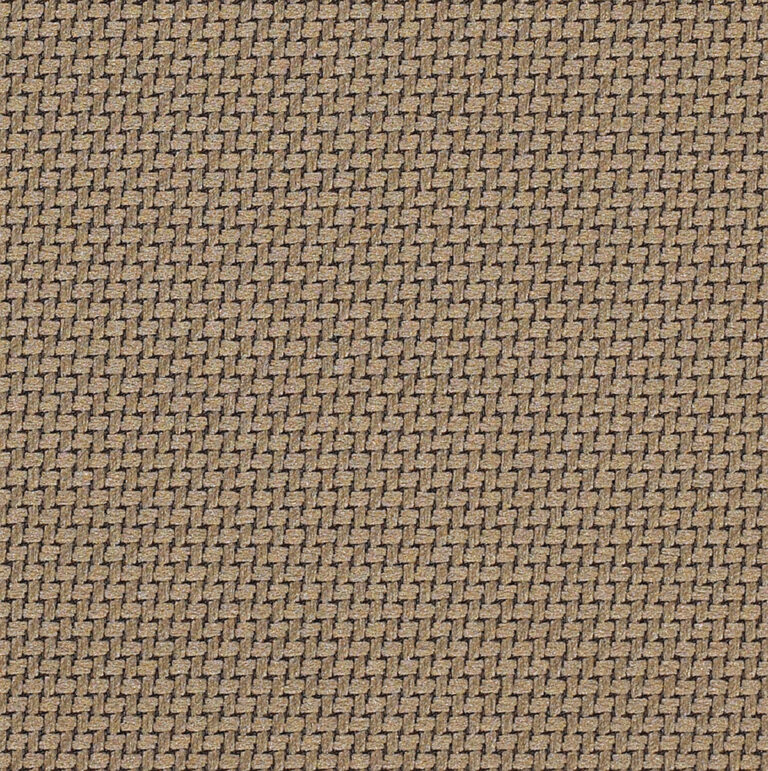 TR3895 Latte