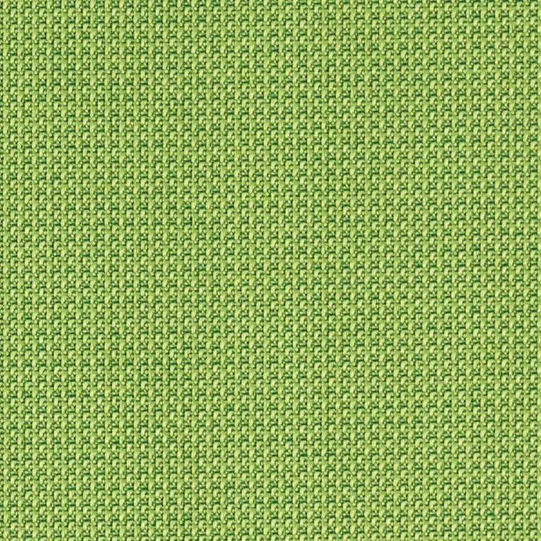 424023 Springtime