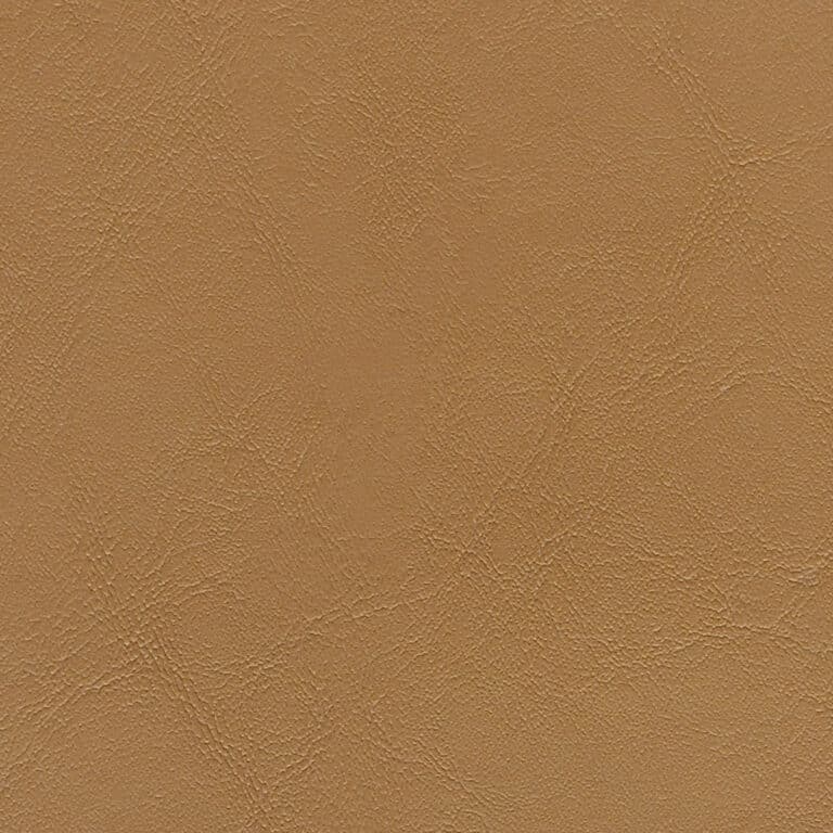 CS6828 Maple