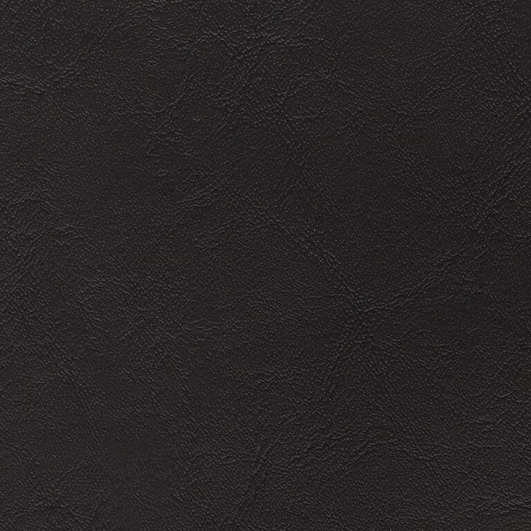 CS4463 Ebony