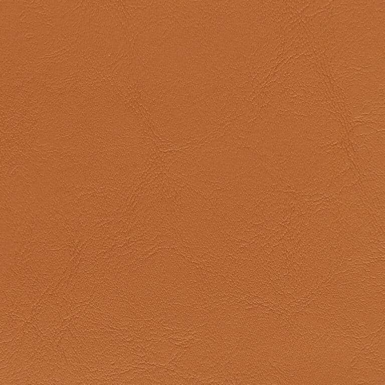 CS6861 Nutmeg