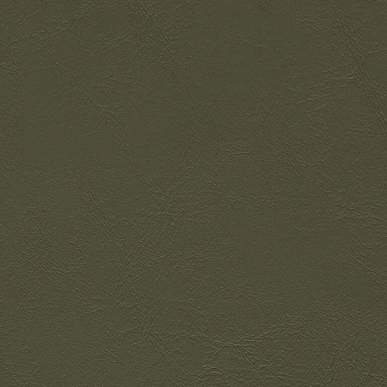 CS6883 Olive