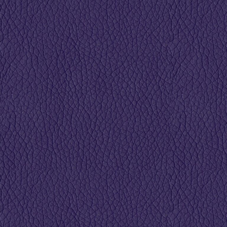 PR1009 Plum
