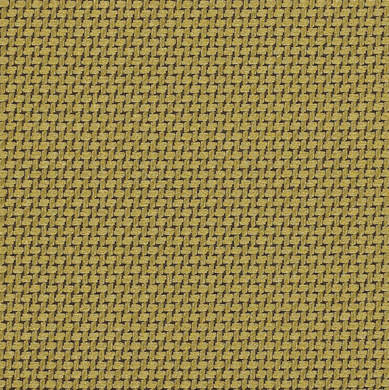 TR3818 Frond