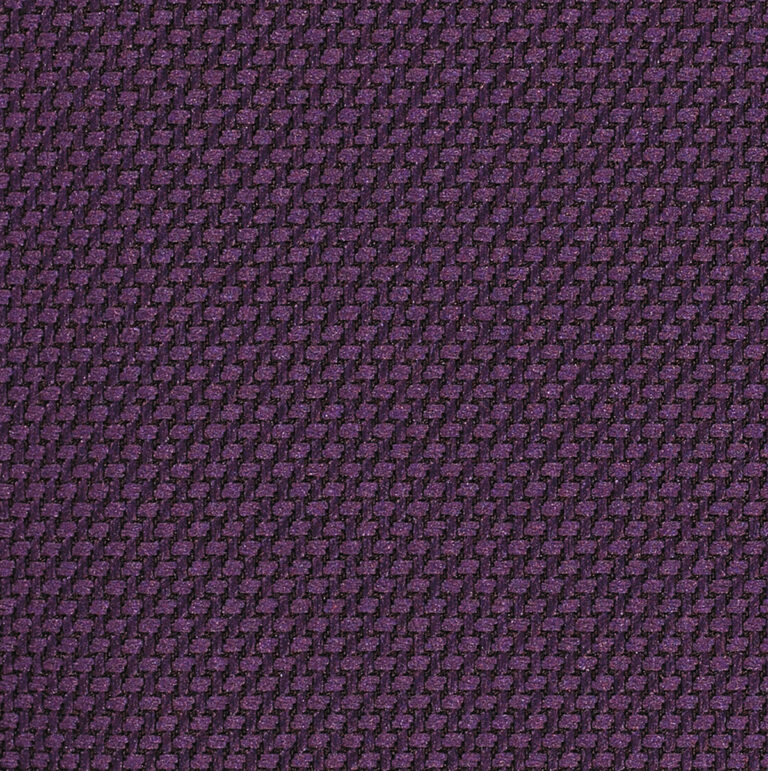 TR3961 Regal